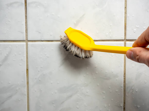 Professional Mold Remediation in Ore City, TX