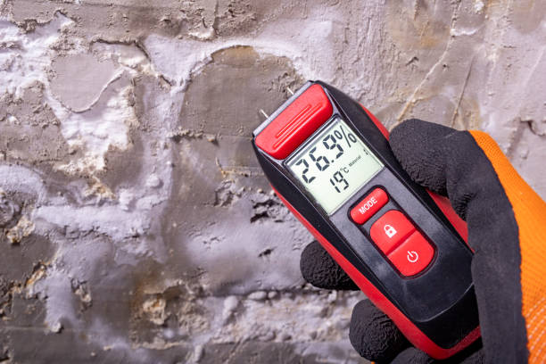 Best Mold Testing and Inspection Services in Ore City, TX